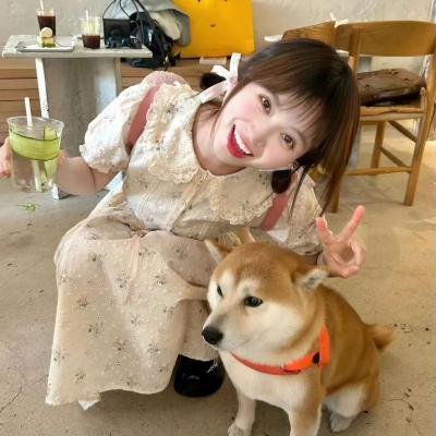 东西的故事